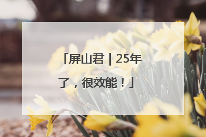 屏山君｜25年了，很效能！