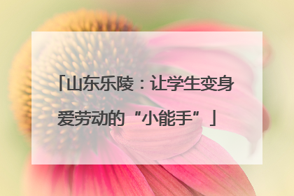 山东乐陵：让学生变身爱劳动的“小能手”