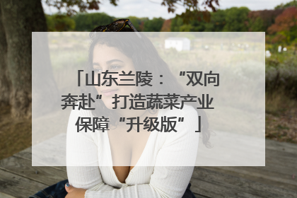 山东兰陵：“双向奔赴”打造蔬菜产业保障“升级版”