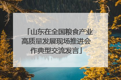 山东在全国粮食产业高质量发展现场推进会作典型交流发言