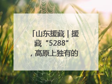 山东援藏｜援藏“5288”，高原上独有的“烟台浪漫”