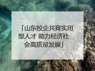 山东校企共育实用型人才 助力经济社会高质量发展