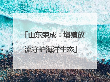 山东荣成：增殖放流守护海洋生态