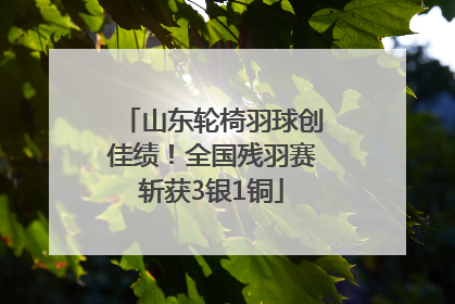 山东轮椅羽球创佳绩！全国残羽赛斩获3银1铜