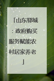 山东郓城：政府购买服务赋能农村居家养老