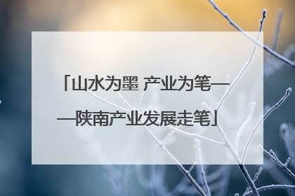 山水为墨 产业为笔——陕南产业发展走笔
