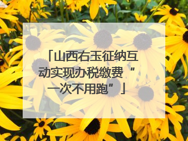 山西右玉征纳互动实现办税缴费“一次不用跑”
