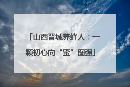 山西晋城养蜂人：一颗初心向“蜜”图强