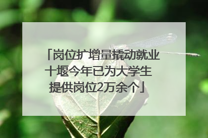 岗位扩增量撬动就业 十堰今年已为大学生提供岗位2万余个