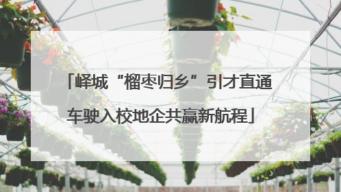 峄城“榴枣归乡”引才直通车驶入校地企共赢新航程