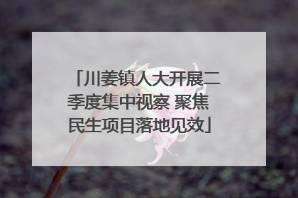 川姜镇人大开展二季度集中视察 聚焦民生项目落地见效