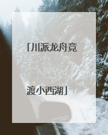 川派龙舟竞渡小西湖