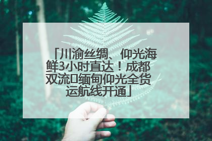 川渝丝绸、仰光海鲜3小时直达！成都双流⇌缅甸仰光全货运航线开通