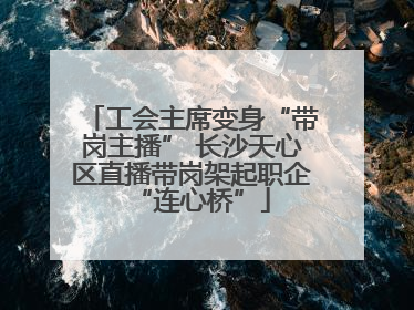 工会主席变身“带岗主播” 长沙天心区直播带岗架起职企“连心桥”