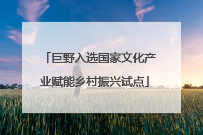 巨野入选国家文化产业赋能乡村振兴试点