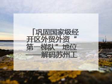 巩固国家级经开区外贸外资“第一梯队”地位——解码苏州工业园区样本