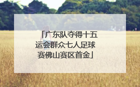 广东队夺得十五运会群众七人足球赛佛山赛区首金