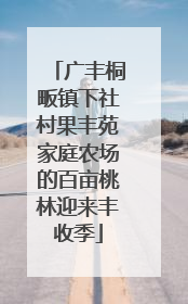 广丰桐畈镇下社村果丰苑家庭农场的百亩桃林迎来丰收季