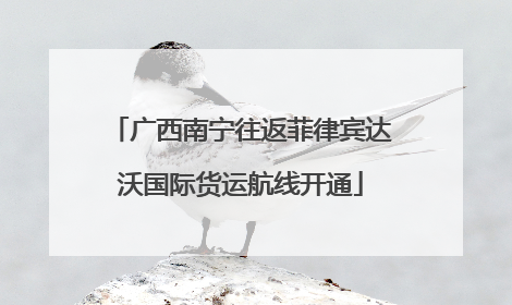 广西南宁往返菲律宾达沃国际货运航线开通
