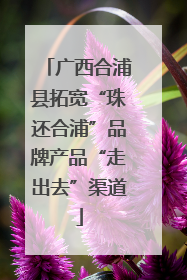 广西合浦县拓宽“珠还合浦”品牌产品“走出去”渠道