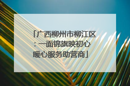 广西柳州市柳江区：一面锦旗映初心 暖心服务助营商