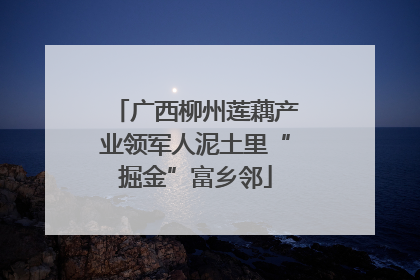 广西柳州莲藕产业领军人泥土里“掘金”富乡邻