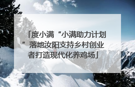 度小满“小满助力计划”落地汝阳支持乡村创业者打造现代化养鸡场