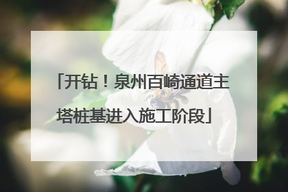 开钻！泉州百崎通道主塔桩基进入施工阶段