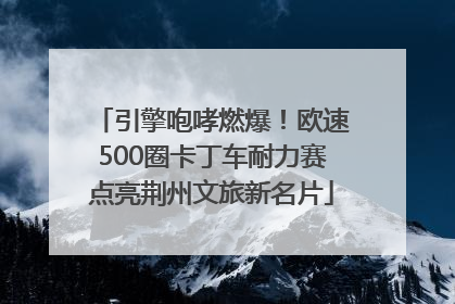 引擎咆哮燃爆！欧速500圈卡丁车耐力赛点亮荆州文旅新名片