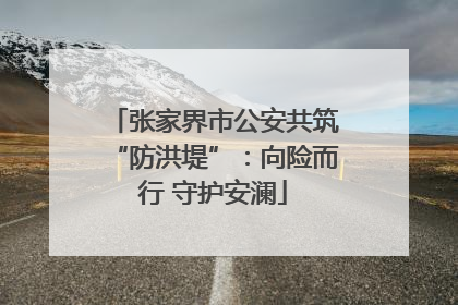 张家界市公安共筑“防洪堤”：向险而行 守护安澜