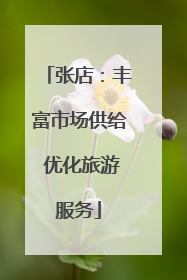 张店：丰富市场供给 优化旅游服务