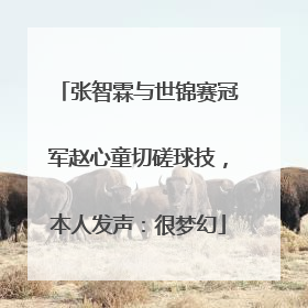 张智霖与世锦赛冠军赵心童切磋球技，本人发声：很梦幻