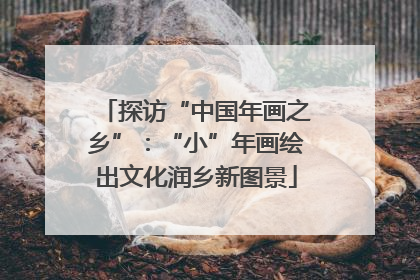 探访“中国年画之乡”：“小”年画绘出文化润乡新图景