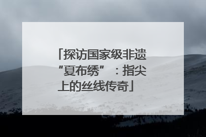 探访国家级非遗“夏布绣”：指尖上的丝线传奇