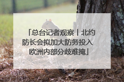 总台记者观察丨北约防长会拟加大防务投入 欧洲内部分歧难掩