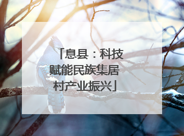 息县：科技赋能民族集居村产业振兴