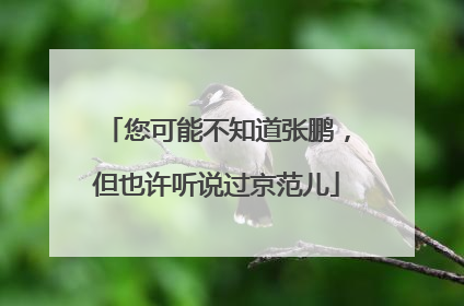 您可能不知道张鹏，但也许听说过京范儿