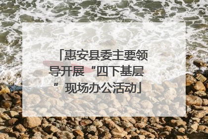 惠安县委主要领导开展“四下基层”现场办公活动
