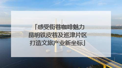 感受街巷咖啡魅力 昆明铁皮巷及巡津片区打造文旅产业新坐标