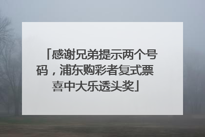 感谢兄弟提示两个号码，浦东购彩者复式票喜中大乐透头奖
