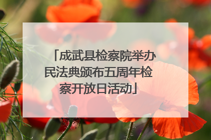 成武县检察院举办民法典颁布五周年检察开放日活动