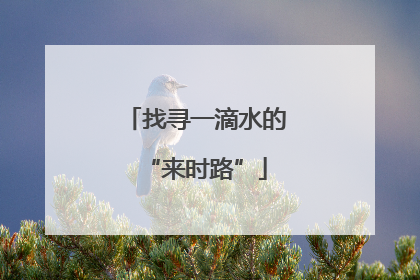 找寻一滴水的“来时路”