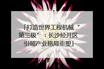 打造世界工程机械“第三极”：长沙经开区引领产业格局重塑