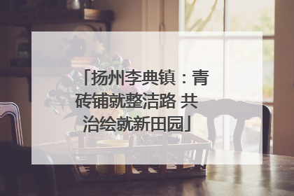 扬州李典镇：青砖铺就整洁路 共治绘就新田园