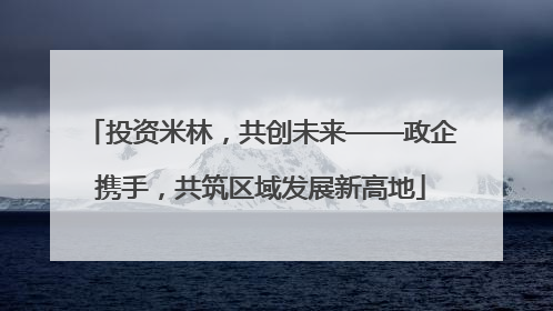 投资米林，共创未来——政企携手，共筑区域发展新高地