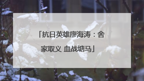 抗日英雄廖海涛：舍家取义 血战塘马