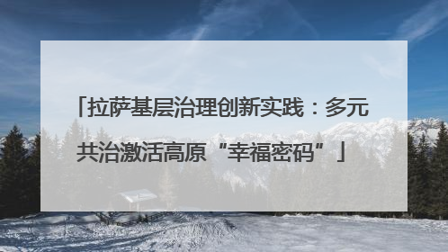 拉萨基层治理创新实践：多元共治激活高原“幸福密码”
