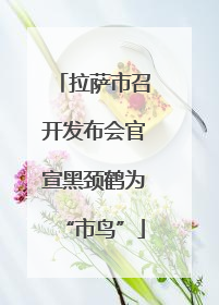 拉萨市召开发布会官宣黑颈鹤为“市鸟”