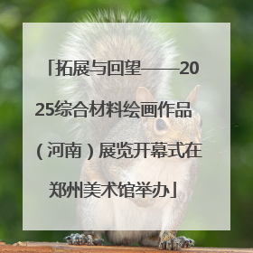 拓展与回望——2025综合材料绘画作品（河南）展览开幕式在郑州美术馆举办
