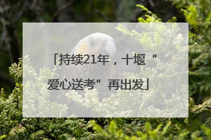 持续21年，十堰“爱心送考”再出发